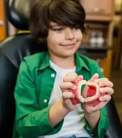 Young patient with dental model of teeth in the Spring Garden Clinic